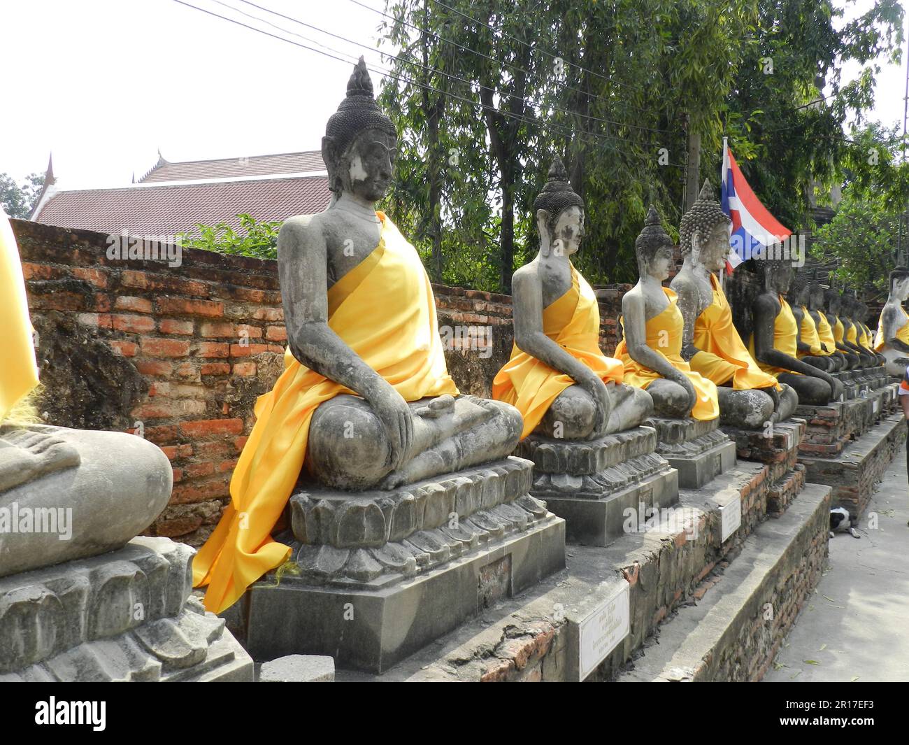 Thailandia, Ayuthaya (ex capitale reale 1350-1767): Linea di figure di Buddha in abiti di zafferano a Wat Yai Chai Mongkhon. Foto Stock
