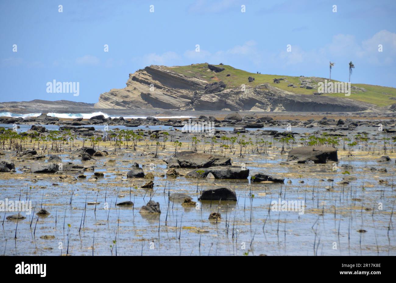 Filippine: L'isola di Biri, al largo della costa nord-occidentale di Samar, è una riserva marina protetta. In queste acque poco profonde e calde una moltitudine di marine Foto Stock