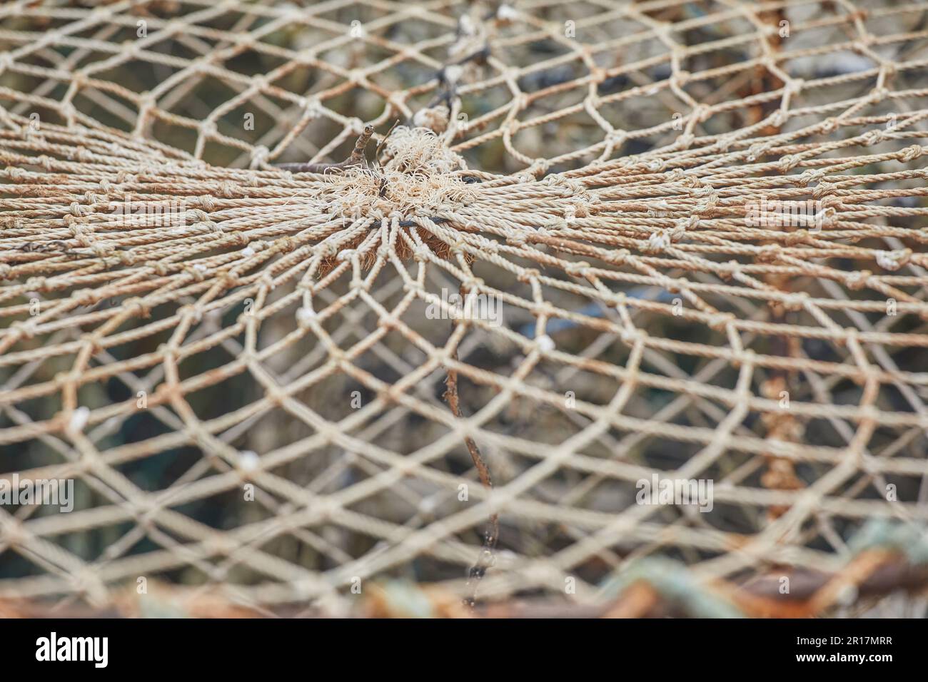 Particolare della lavorazione del ropework su una pentola di aragosta del pescatore, sulla riva a Teignmouth, Devon, Gran Bretagna. Foto Stock