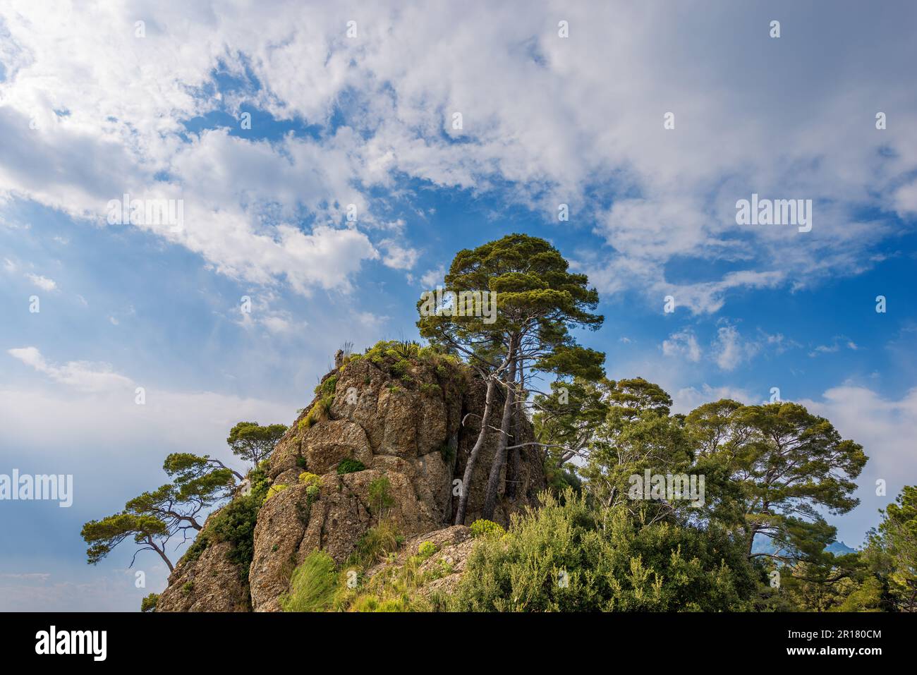 Scogliera rocciosa con pini marittimi vicino al famoso villaggio di Portofino. Località turistica in Provincia di Genova, Liguria, Italia, Europa. Foto Stock