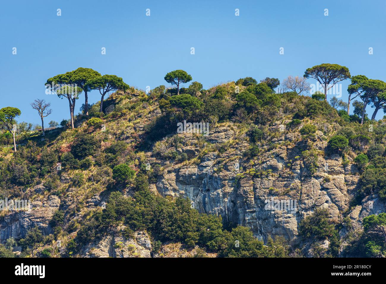 Scogliera rocciosa con pini marittimi vicino al famoso villaggio di Portofino. Località turistica in Provincia di Genova, Liguria, Italia, Europa. Foto Stock