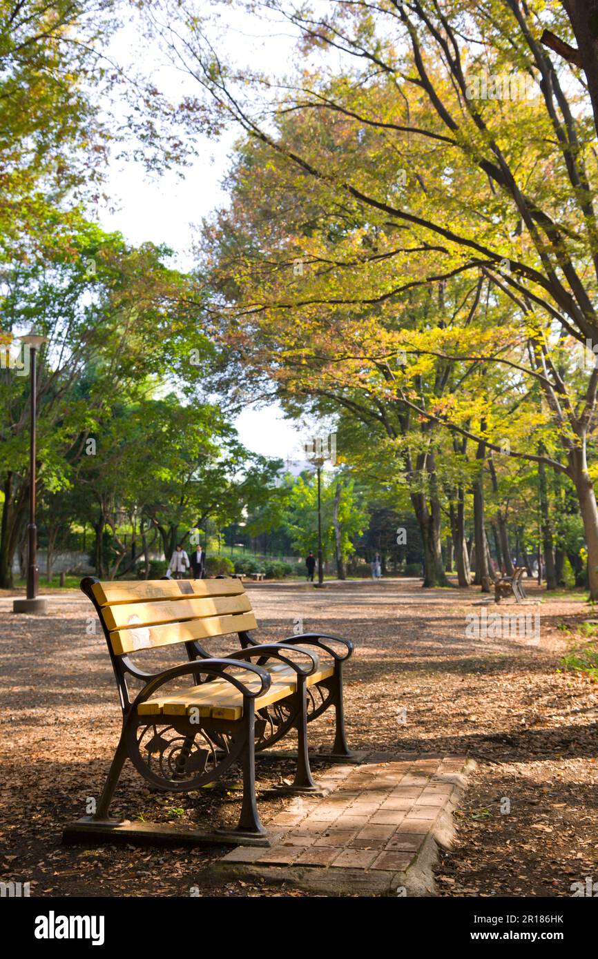 Il Metropolitan Inokashira onshi Park Foto Stock