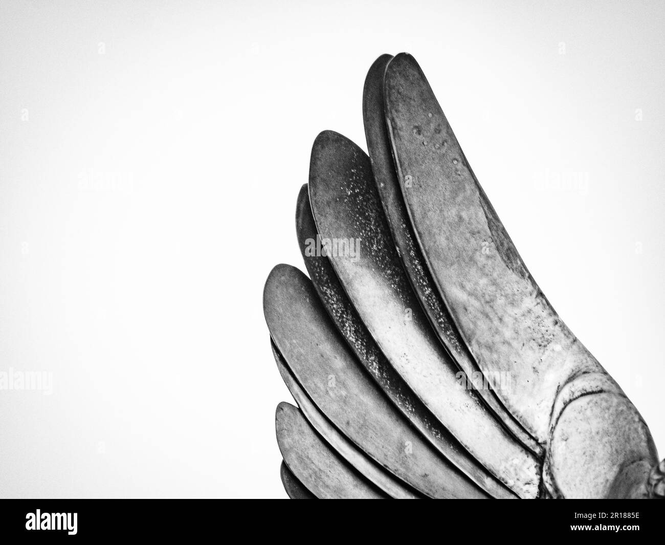 Una vista ravvicinata in bianco e nero di un'ala di una statua Foto Stock Una vista ravvicinata in bianco e nero di un'ala di una statua Foto Stock