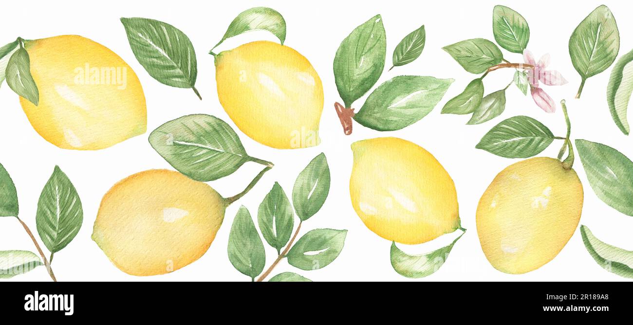 Acquerello limone disegnato a mano bordo senza cuciture, agrumi con foglie bordo ripetuto, disegno tessile, scheda Foto Stock