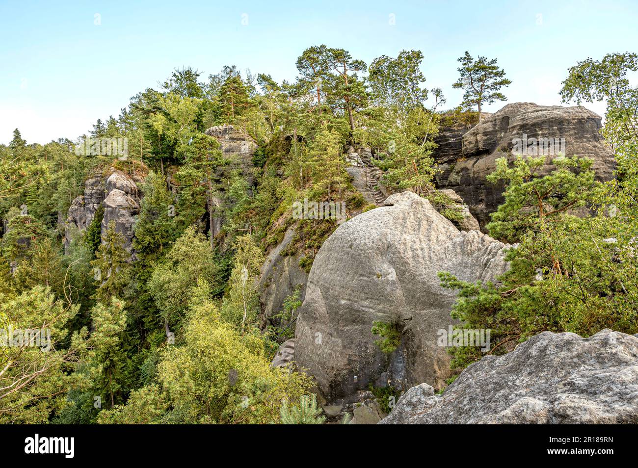 Vista dalla passeggiata sul crinale di Schrammsteinen in Svizzera Sassonia, Sassonia, Germania Foto Stock