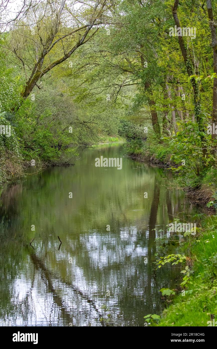 Le acque calme e appartate del fiume Holme nello Yorkshire in una giornata di primavera con il verde fresco delle foglie di primavera sugli alberi che avvolgono il fiume Foto Stock