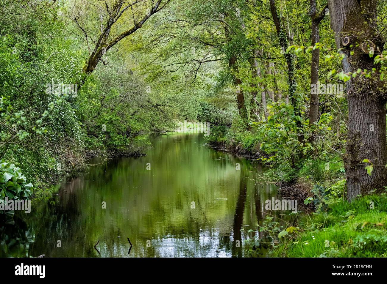 Le acque calme e appartate del fiume Holme nello Yorkshire in una giornata di primavera con il verde fresco delle foglie di primavera sugli alberi che avvolgono il fiume Foto Stock