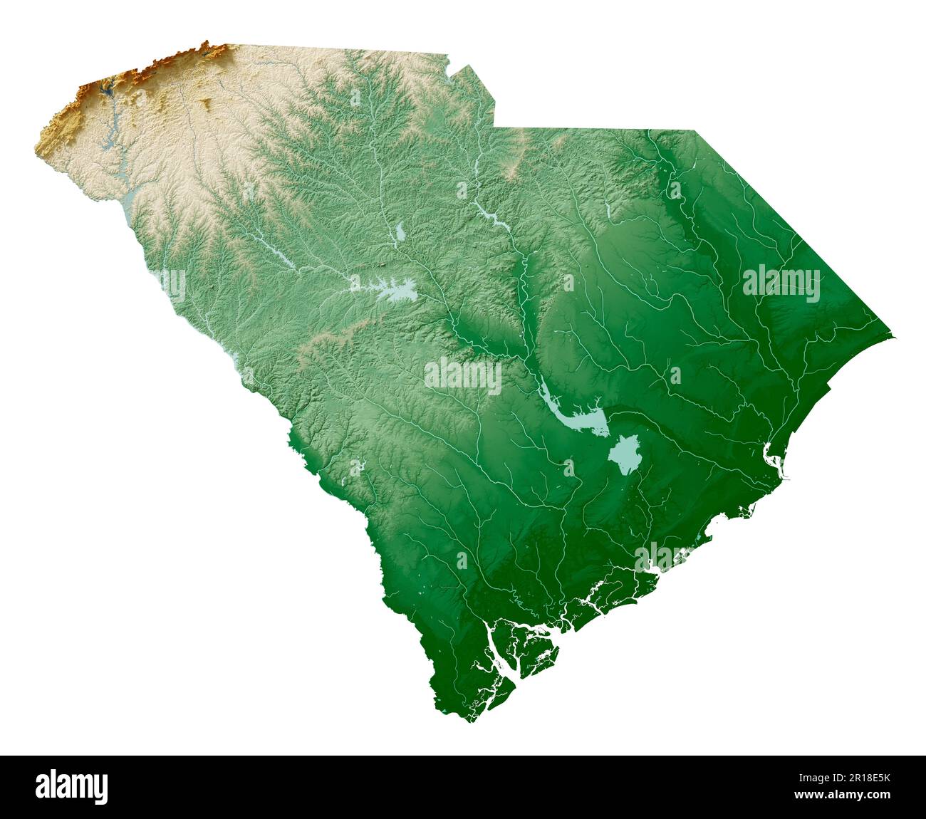 Lo stato degli Stati Uniti del South Carolina. Rendering 3D dettagliato di una mappa in rilievo ombreggiata con fiumi e laghi. Colorato dall'elevazione. Creato con i dati satellitari. Foto Stock