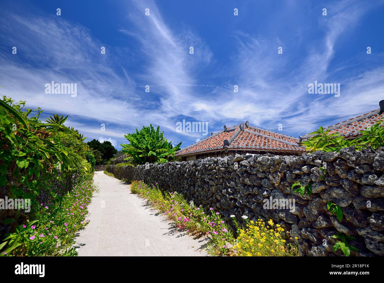 Villaggio sull'isola di Taketomi, Isole Yaeyama Foto Stock