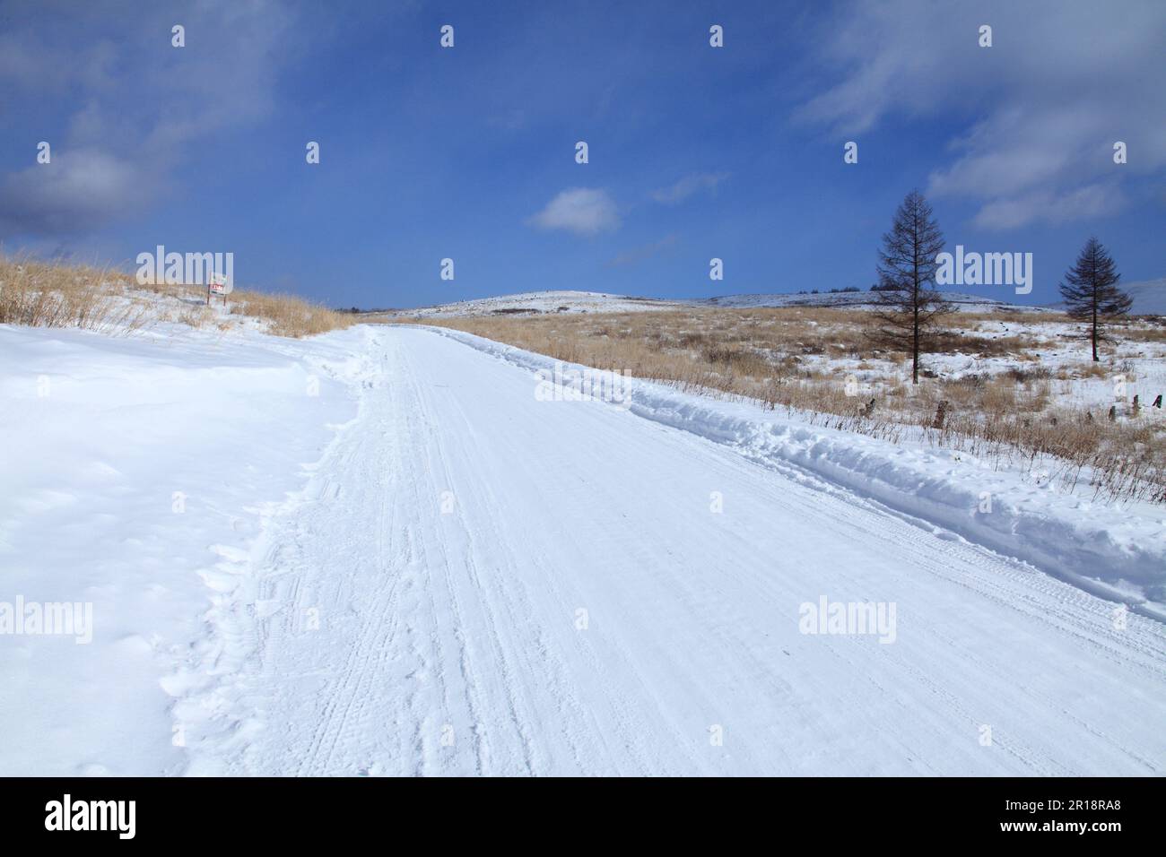 Coperte di neve road Foto Stock