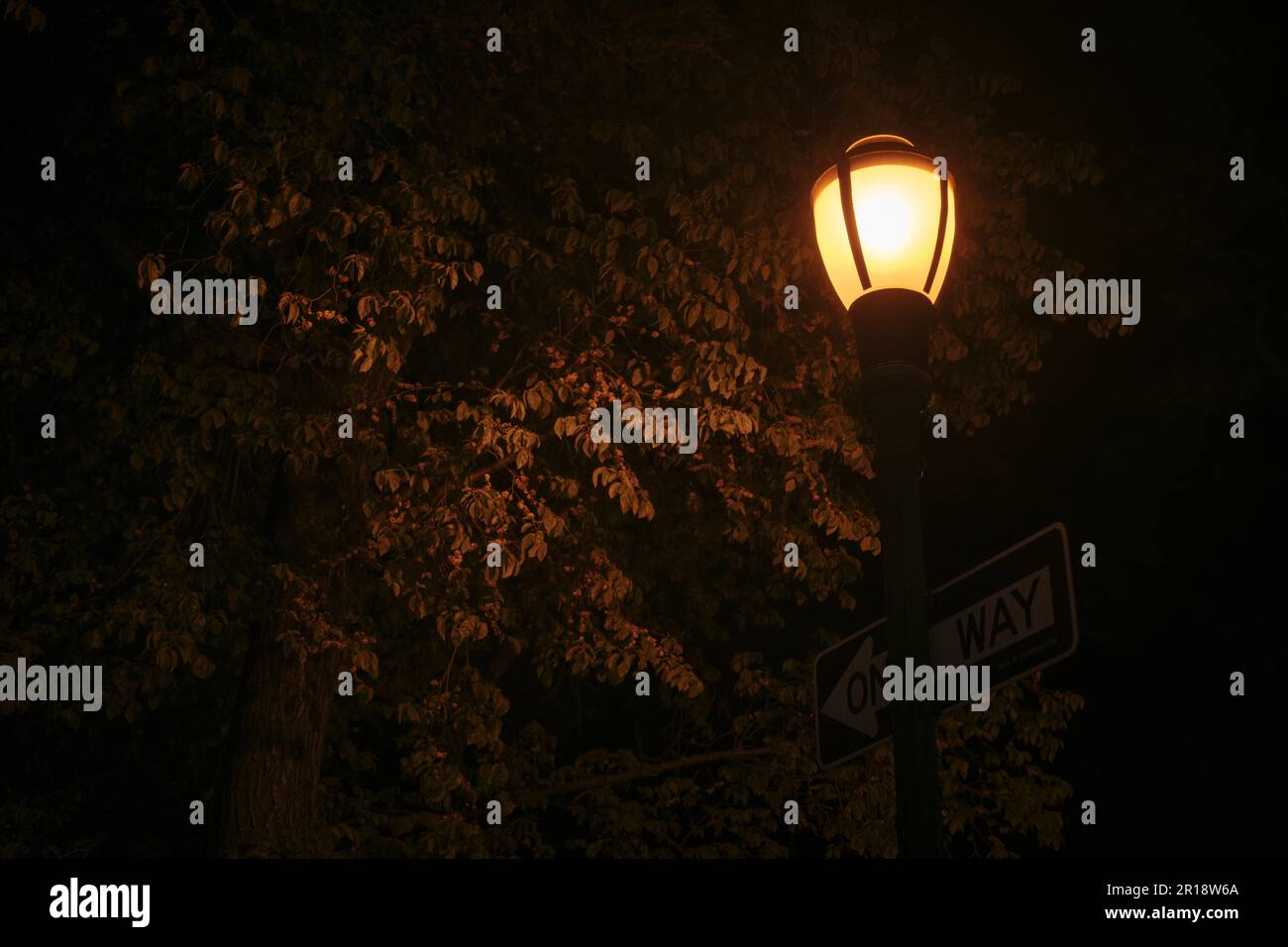 Lampione con segnale di sola andata, Crown Heights, Brooklyn, New York Foto Stock