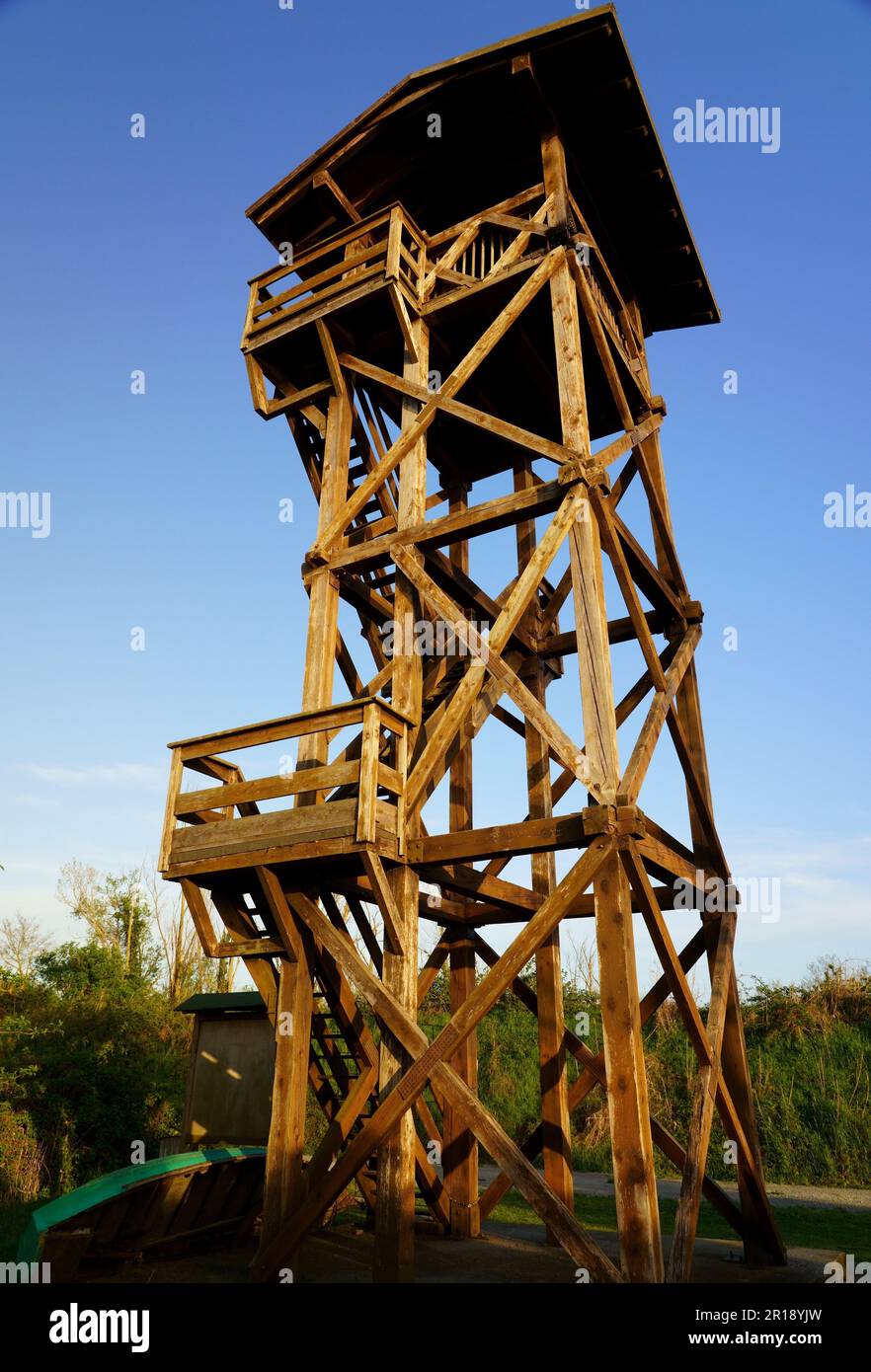 Guarda la torre nella riserva naturale di Punta canna (Ravenna) Foto Stock