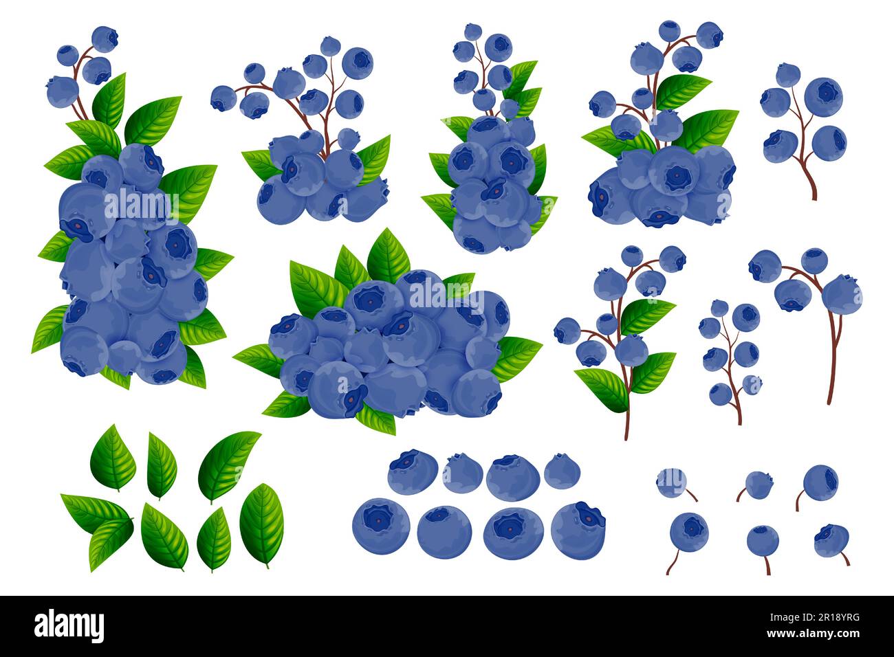 Un insieme di rami, bacche blu scuro e foglie verdi di mirtilli su sfondo bianco. Bordi decorativi da frutti e bacche. Modello Berry. Illustrazione Vettoriale