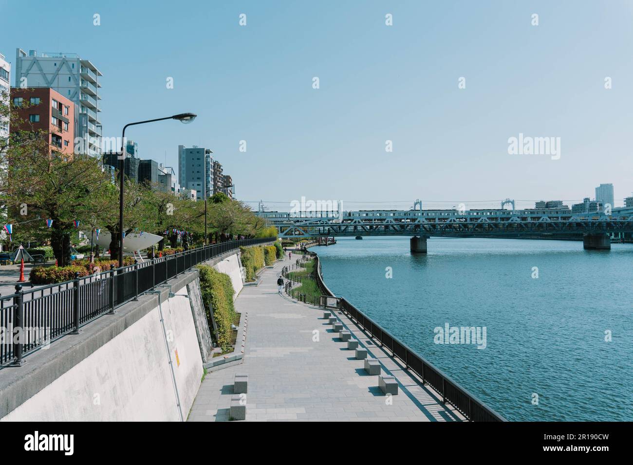 Asakusa il parco Sumida Cherry Blossom Festival. In primavera, Fiume Sumida è circondato da fiori di ciliegio. Foto Stock