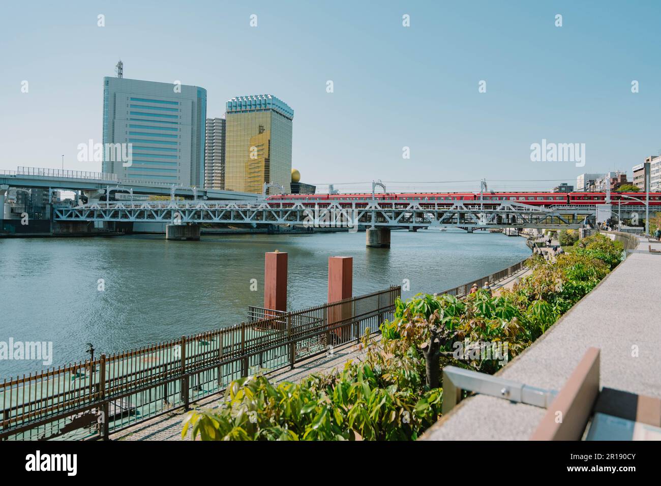 Asakusa il parco Sumida Cherry Blossom Festival. In primavera, Fiume Sumida è circondato da fiori di ciliegio. Foto Stock