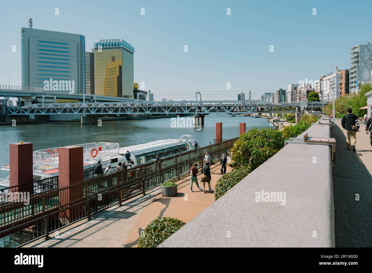 Asakusa il parco Sumida Cherry Blossom Festival. In primavera, Fiume Sumida è circondato da fiori di ciliegio. Foto Stock