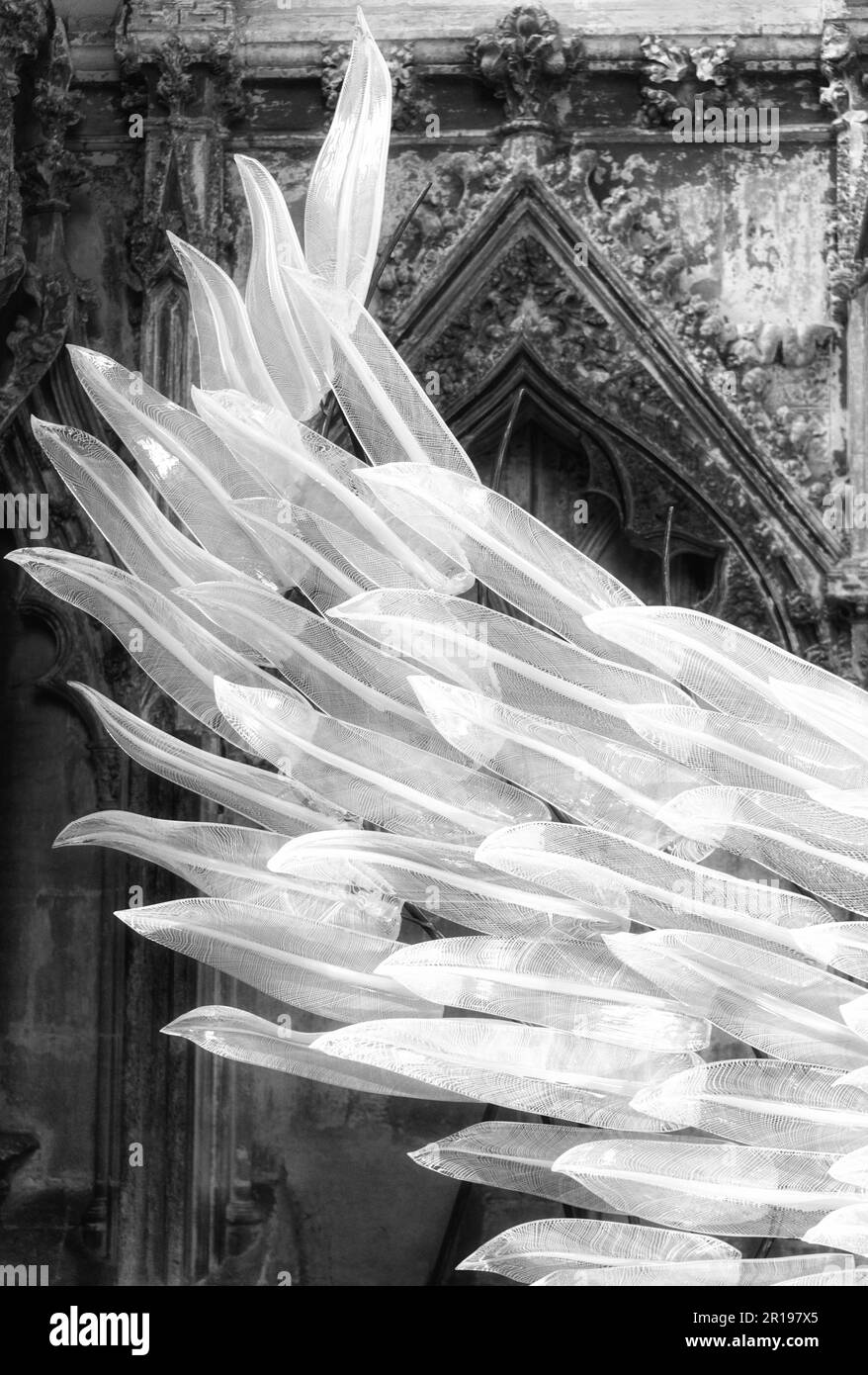 Un primo piano della scultura in vetro angelo ali Solace di Layne Rowe, esposta alla Cattedrale Ely, in memoria delle vite perse a Covid, Cambridgeshire, Foto Stock