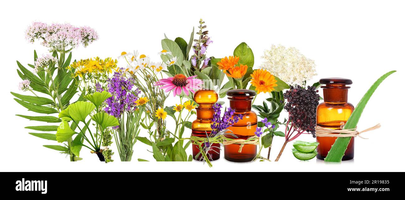 Diversi impianti medici e bottiglie di farmacia, sfondo trasparente Foto Stock