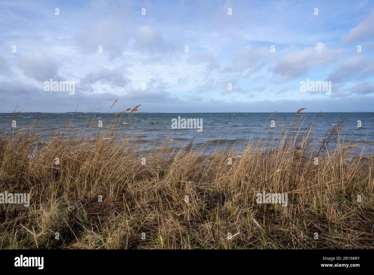 Una vista panoramica della baia di Geltinger nello Schleswig Holstein, Germania Foto Stock
