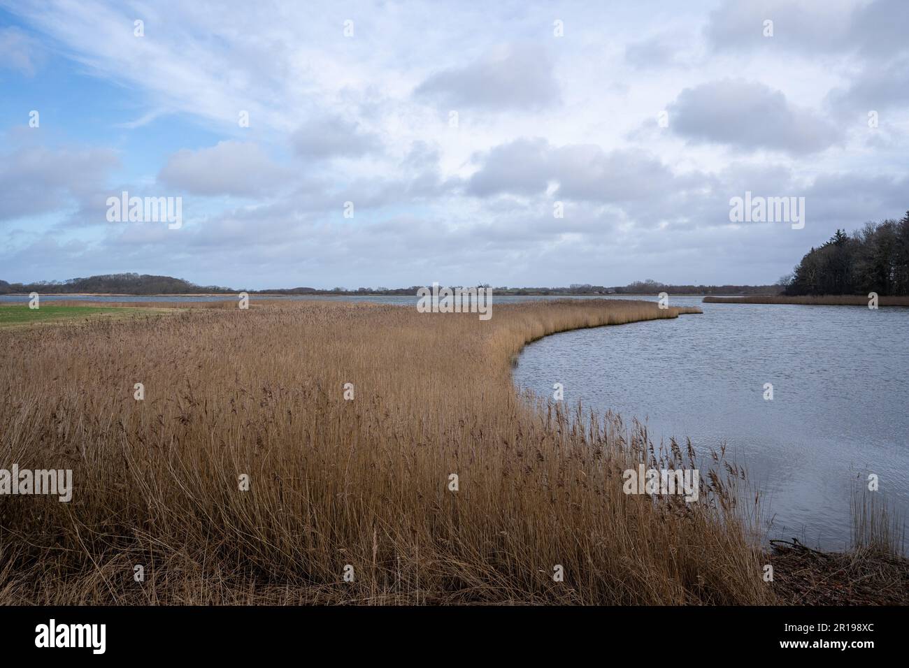 Una vista panoramica della baia di Geltinger nello Schleswig Holstein, Germania Foto Stock
