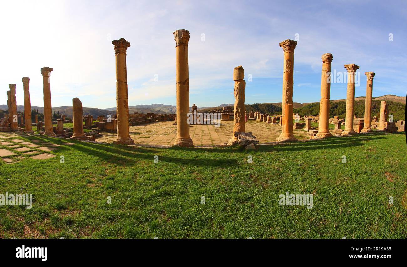 Rovine romane di Djemila, Algeria. Colonne. Foto Stock