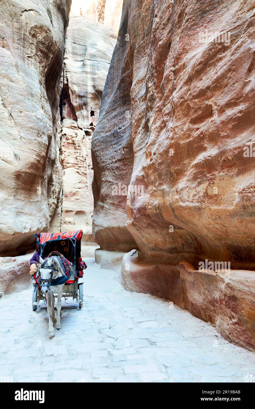 Giordania. Lo stretto passaggio (siq) che conduce al sito archeologico di Petra Foto Stock