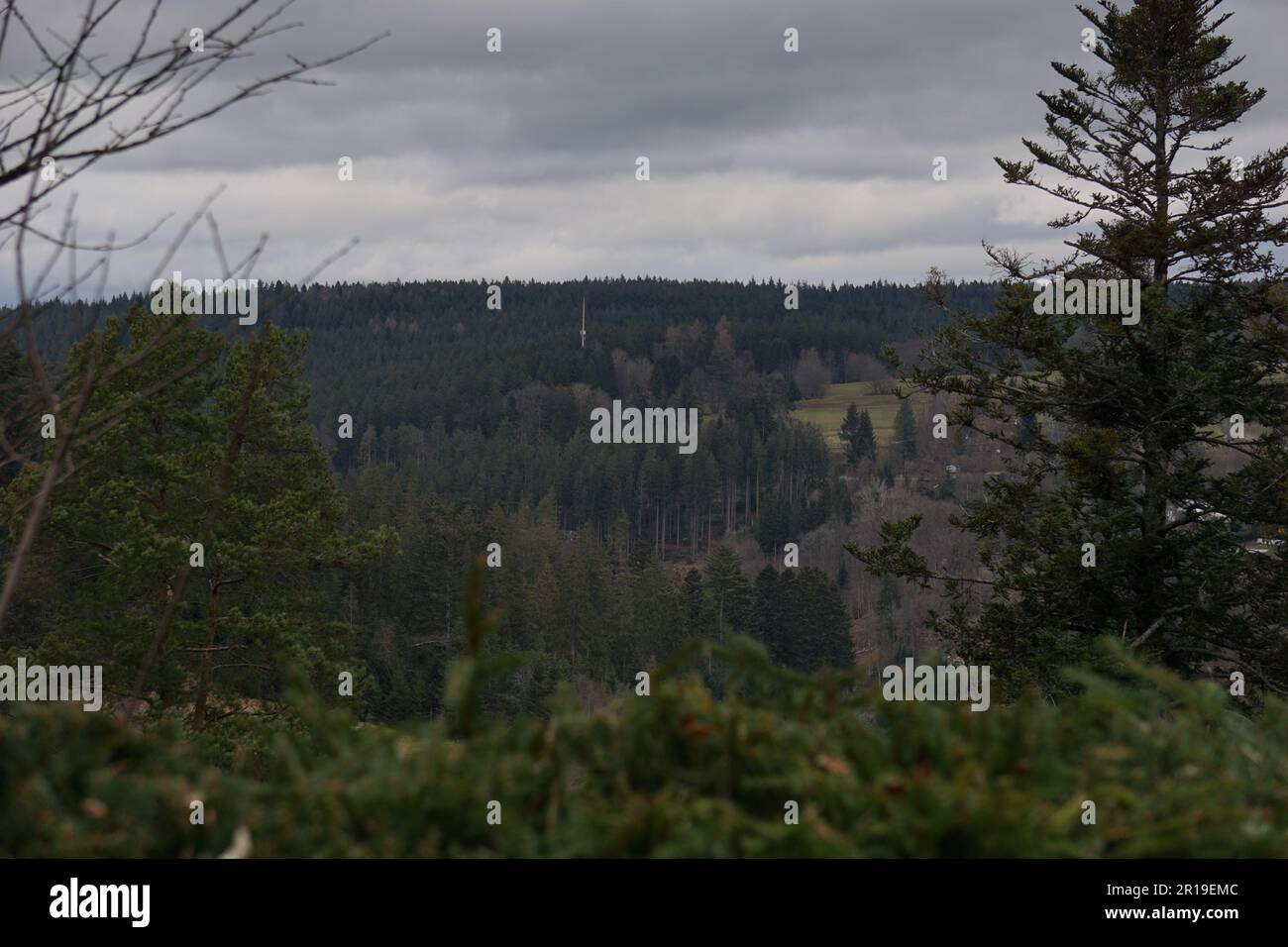 Alberi e hotel nella Foresta Nera in Germania Foto Stock