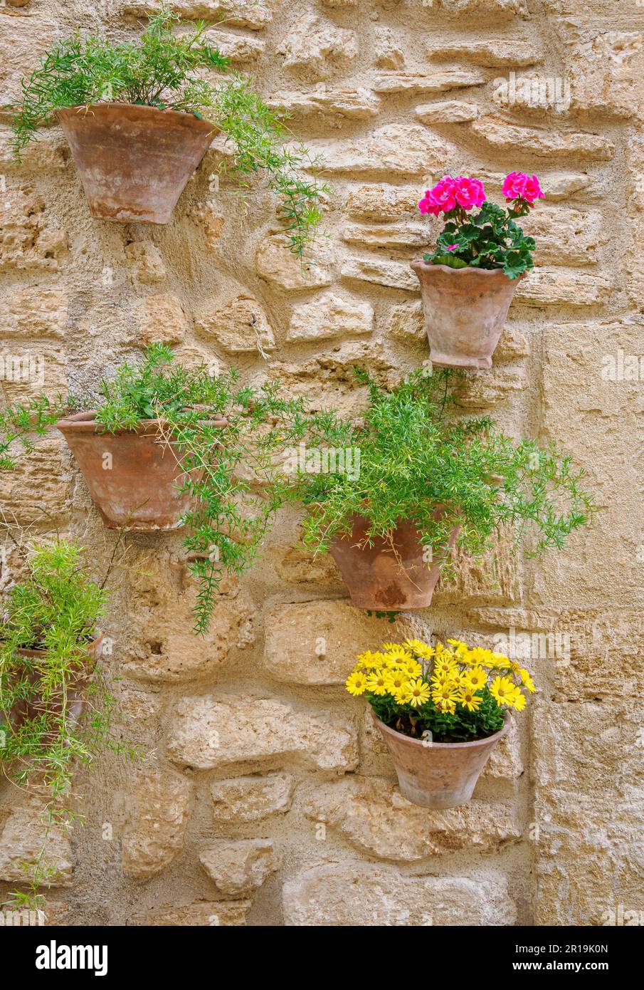 Vasi da muro che decorano le strade fiorite di Alcudia una città murata sulla costa nord-orientale di Maiorca Spagna Foto Stock