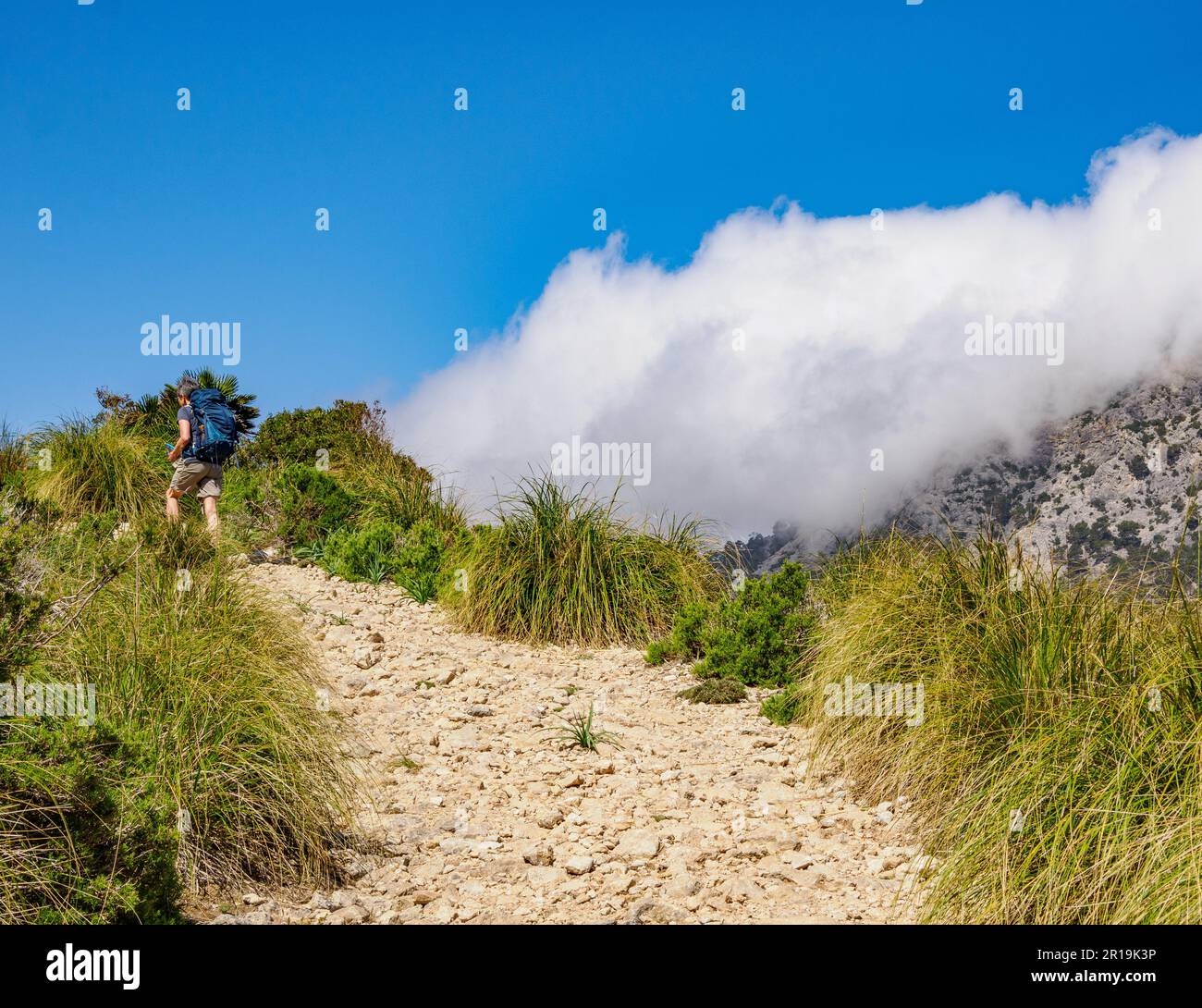 Walker sulla aspra Penisola di Formentor ascendendo il sentiero che porta a Na Blanca nei Monti Tramuntana di Maiorca Spagna Foto Stock