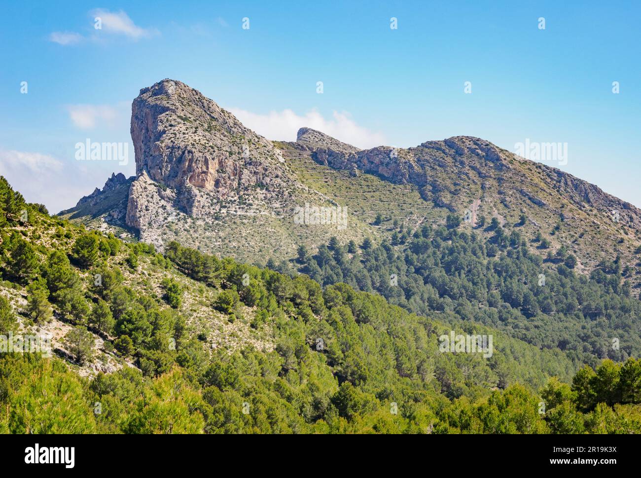 L'aspra Penisola di Formentor dal sentiero che conduce a Na Blanca nei Monti Tramuntana di Maiorca Spagna Foto Stock