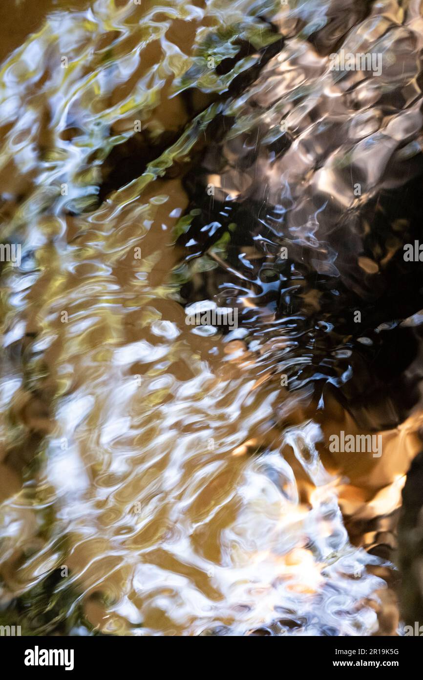 Riflessioni nel flusso d'acqua e letto del fiume in primo piano, Parco Nazionale di Kemeri, Lettonia Foto Stock