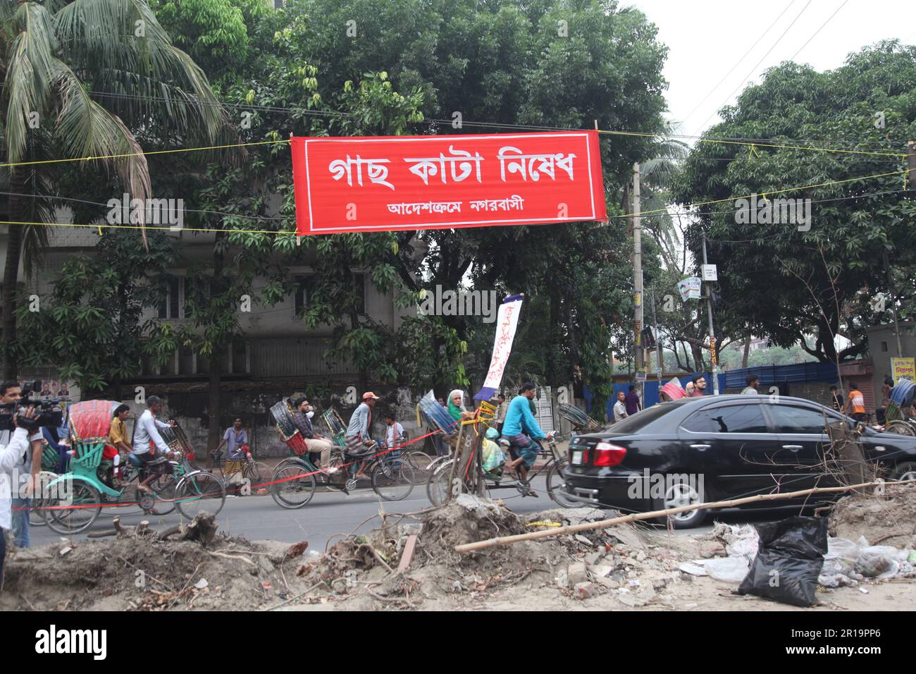 Taglio dell'albero, Dhanmondi Saat Masjid strada 12may2023, Dhanmondi Saat Masjid strada divisore albero taglio arresto e specie indigena lavoro nel luogo di taglio t Foto Stock