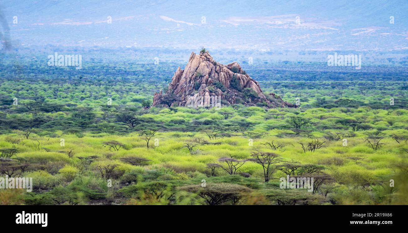 Una collina rocciosa sorge sopra una lussureggiante foresta verde durante la stagione delle piogge. Kenya, Africa. Foto Stock