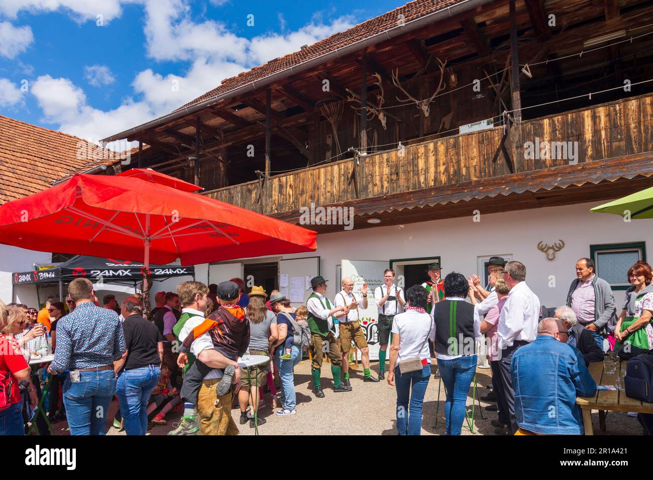 Puch bei Weiz: Fattoria Obstbau Berger, Apfelland (paese delle mele), band musicale al Apfelblütenfest (Apple Blossom Festival) a Steirisches Thermenland Foto Stock