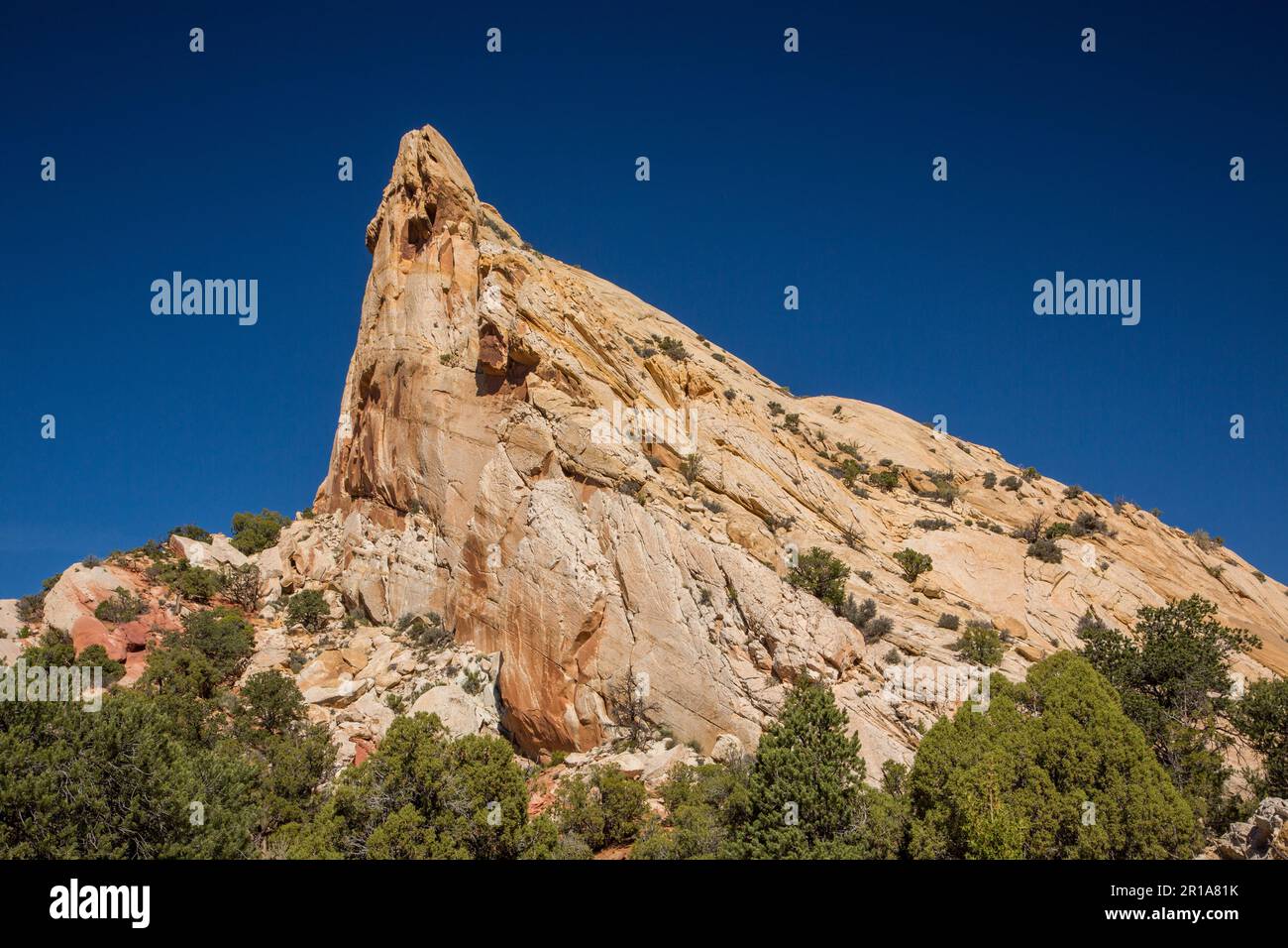 Formazioni di arenaria erose nel Muley Twist Canyon nel Capitol Reef National Park nello Utah. Foto Stock