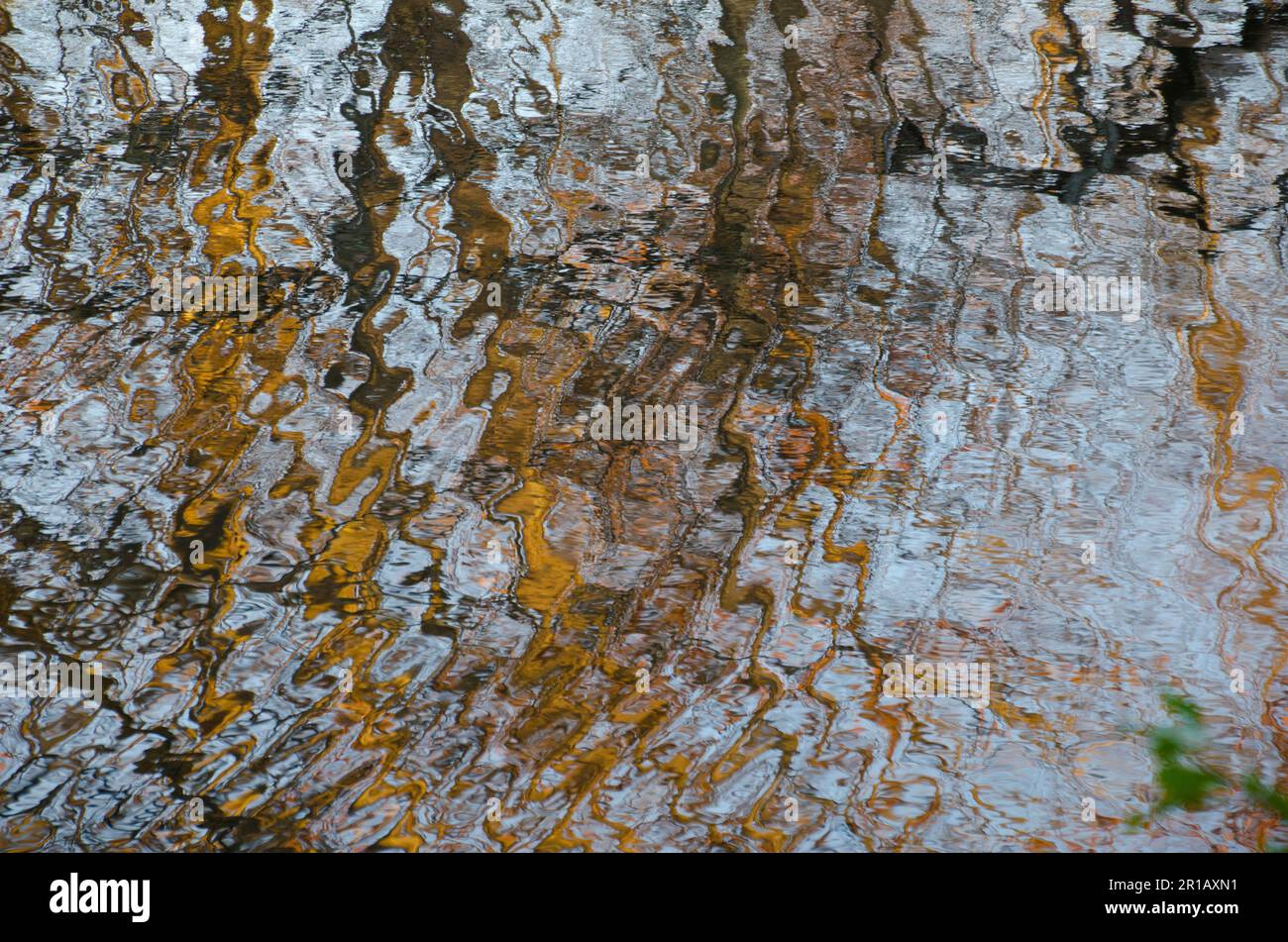 Ondate d'acqua e riflesso di alberi di caduta, Yarmouth ME Foto Stock