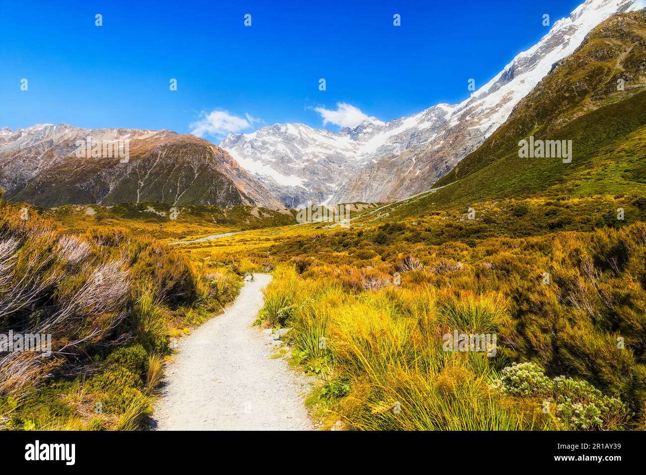 La pista della valle del fiume Tasman Hooker fino al monte Cook nel parco nazionale della Nuova Zelanda. Foto Stock