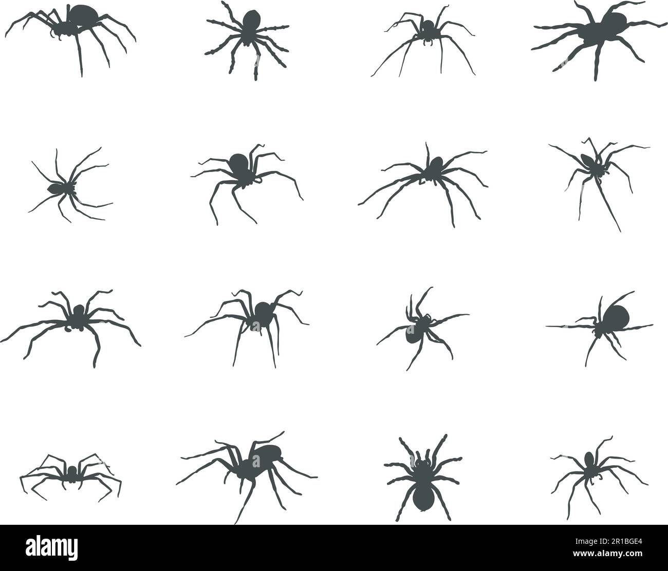 Silhouette Spider, icona vettore Spider. Illustrazione Vettoriale