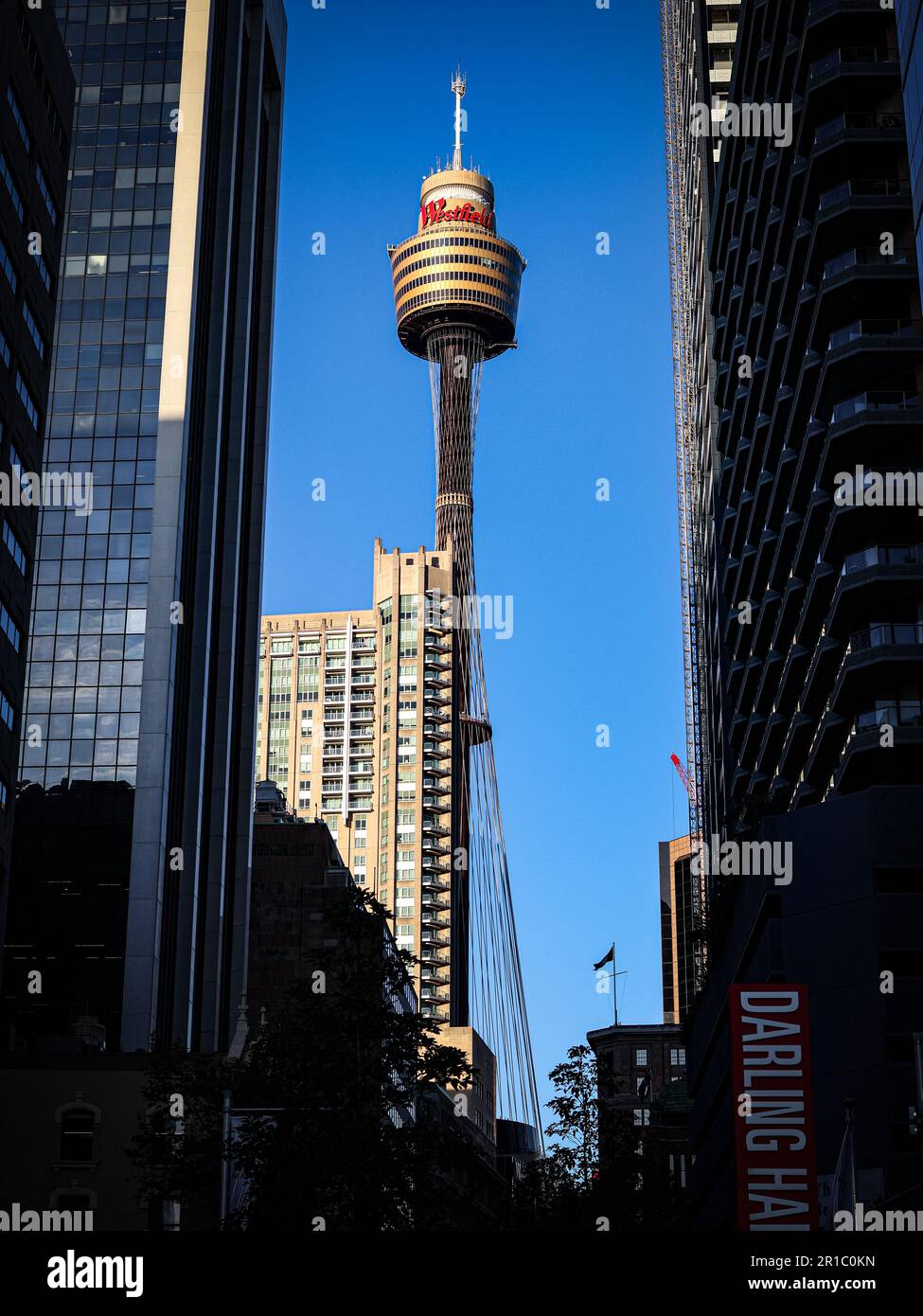 Torre di Sydney tra alti edifici nel CBD (Westfield) di Sydney. Fotografia di strada di Canon R50. Foto Stock