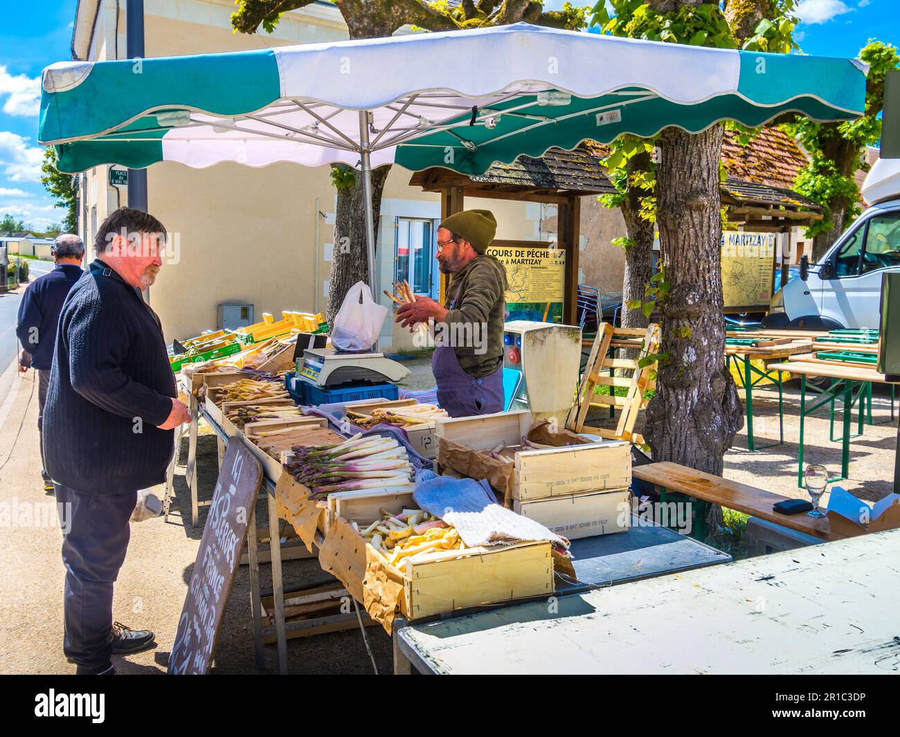 Venditore di asparagi al mercato speciale del giorno di maggio - Martizay, Indre (36), Francia. Foto Stock