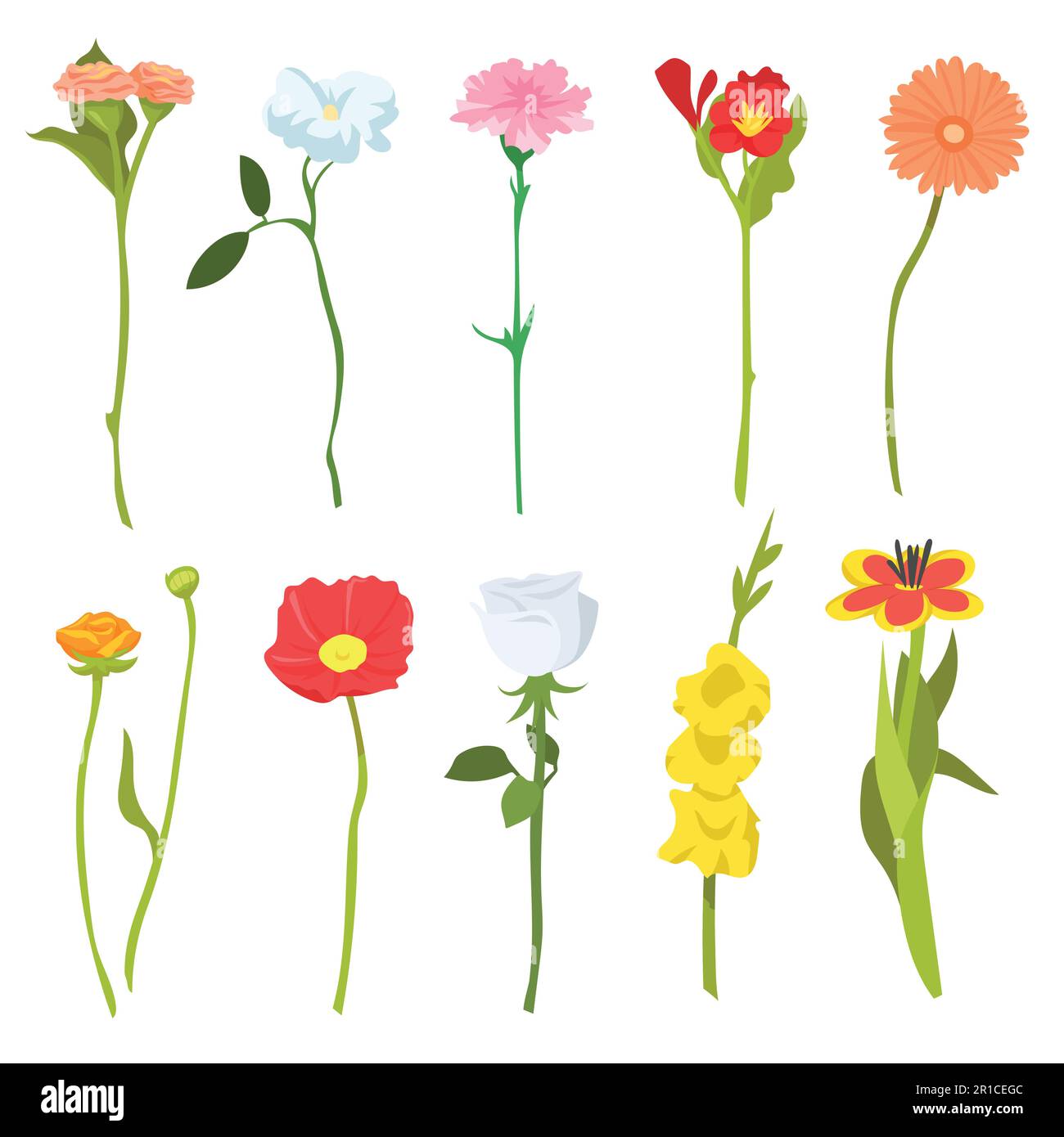 Set di fiori carini campo selvatico Illustrazione Vettoriale