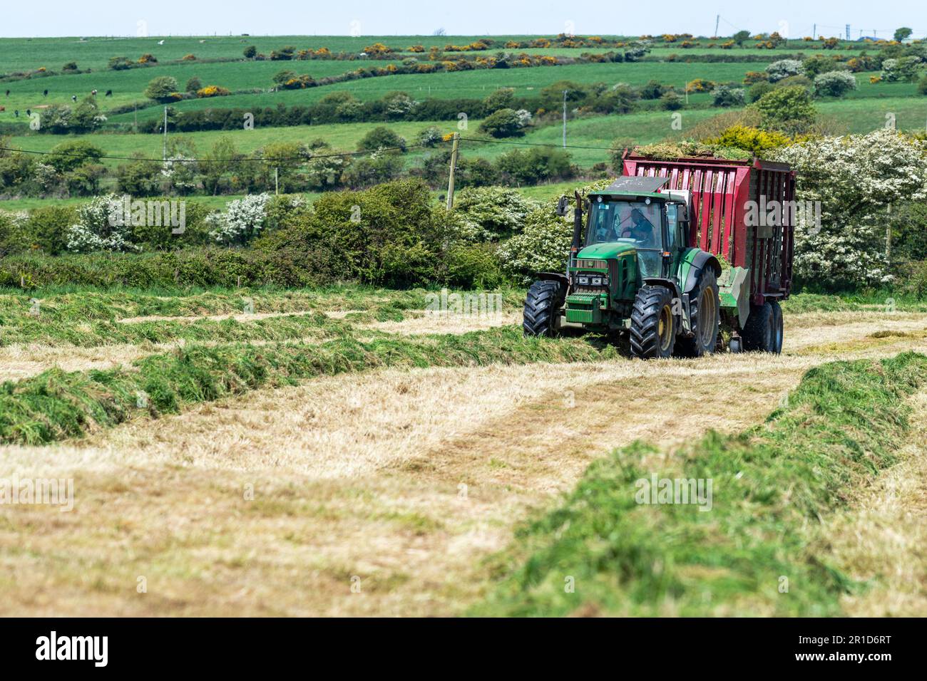 Courtmacsherry, West Cork, Irlanda. 13th maggio, 2023. Matt Hurley raccoglie l'erba per l'insilato utilizzando un trattore John Deere 6930 e un carro per insilato in una calda giornata di sole a West Cork. Met Éireann ha previsto temperature fino a raggiungere i 20C°C nei prossimi giorni prima che la pioggia si stabilirà nella prossima settimana. Credit: AG News/Alamy Live News Foto Stock
