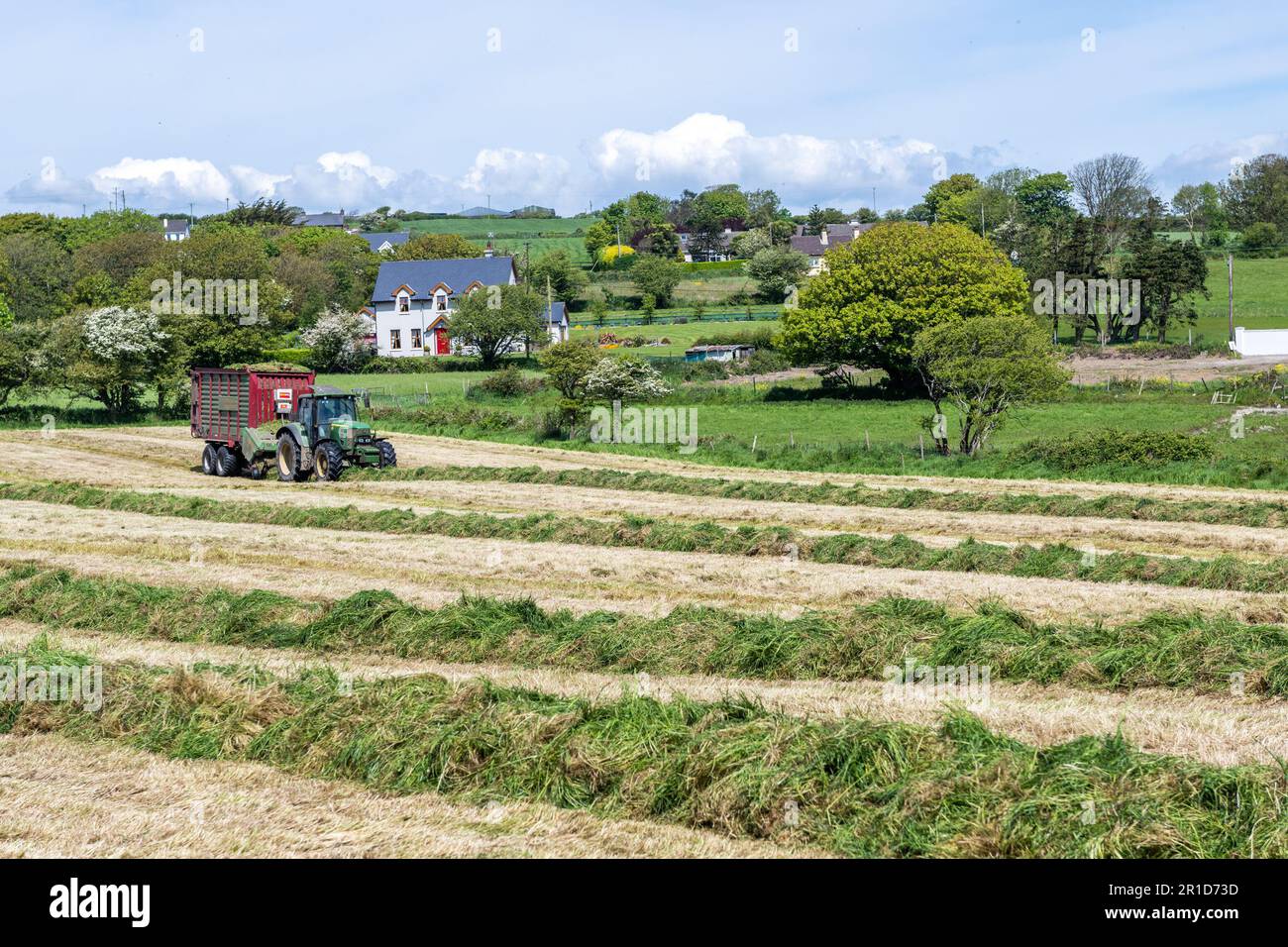 Courtmacsherry, West Cork, Irlanda. 13th maggio, 2023. Matt Hurley raccoglie l'erba per l'insilato utilizzando un trattore John Deere 6930 e un carro per insilato in una calda giornata di sole a West Cork. Met Éireann ha previsto temperature fino a raggiungere i 20C°C nei prossimi giorni prima che la pioggia si stabilirà nella prossima settimana. Credit: AG News/Alamy Live News Foto Stock