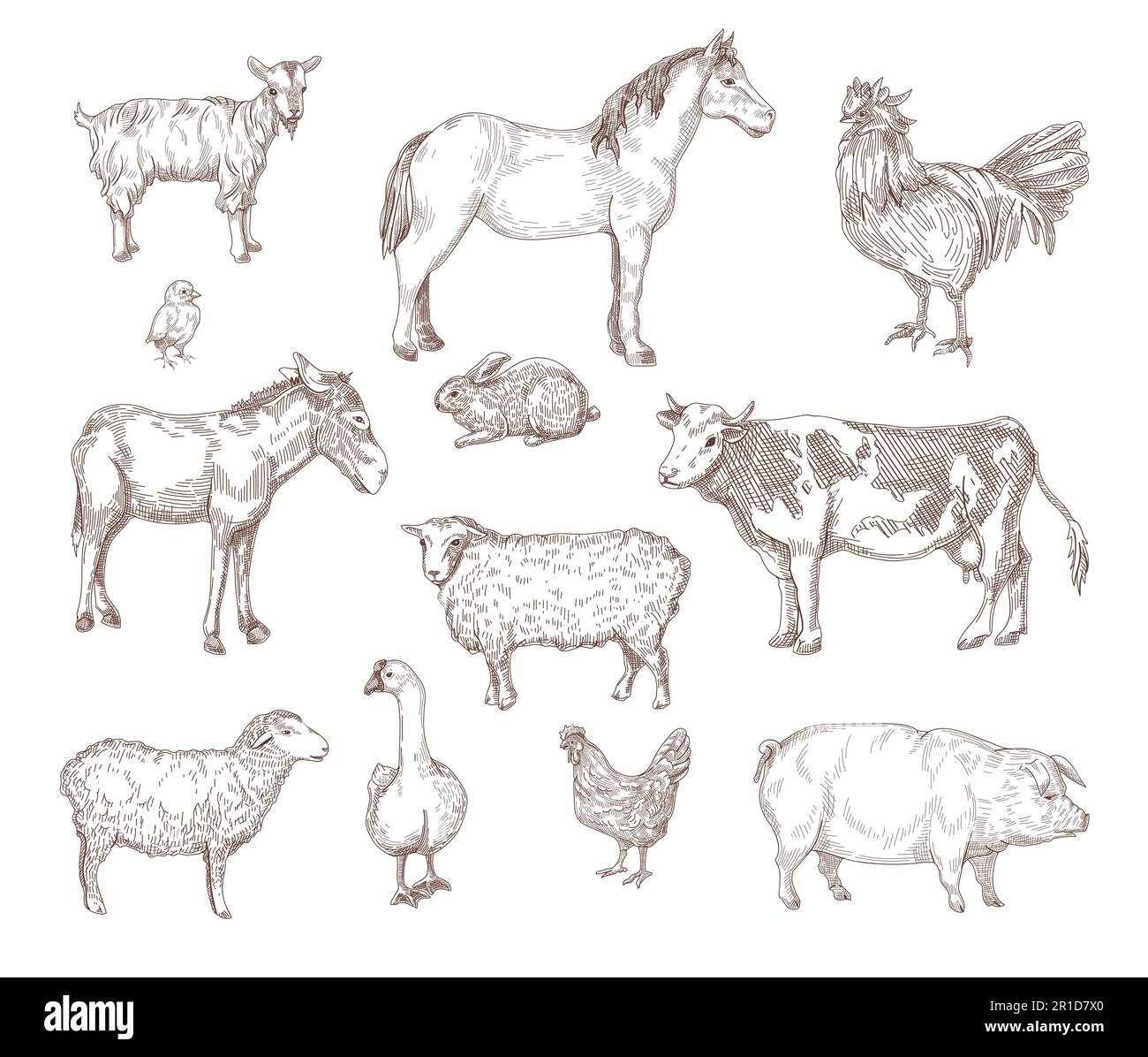 Animali domestici isolati illustrazioni disegnate a mano set Illustrazione Vettoriale