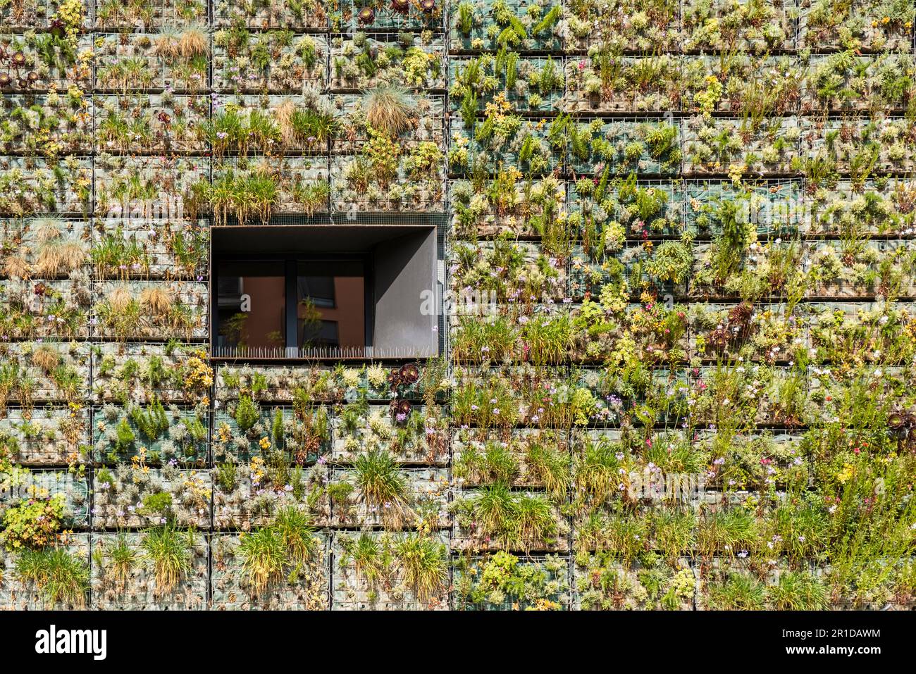 Architettura moderna e sostenibile con pareti di edifici sovrastanti di piante e finestre solitarie Foto Stock