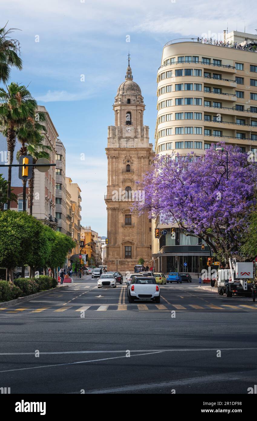 Vista sulla strada con la Cattedrale di Malaga - Malaga, Andalusia, Spagna Foto Stock