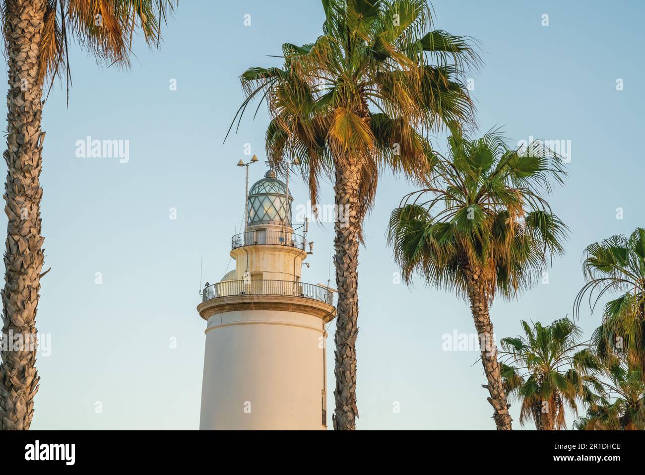 Faro di Malaga (la Farola) e palme - Malaga, Andalusia, Spagna Foto Stock