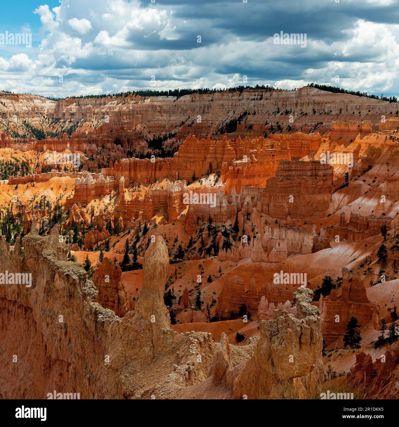 Bryce Canyon Rock Hoodoo Landscape, Bryce Canyon National Park, Utah, USA. Foto Stock