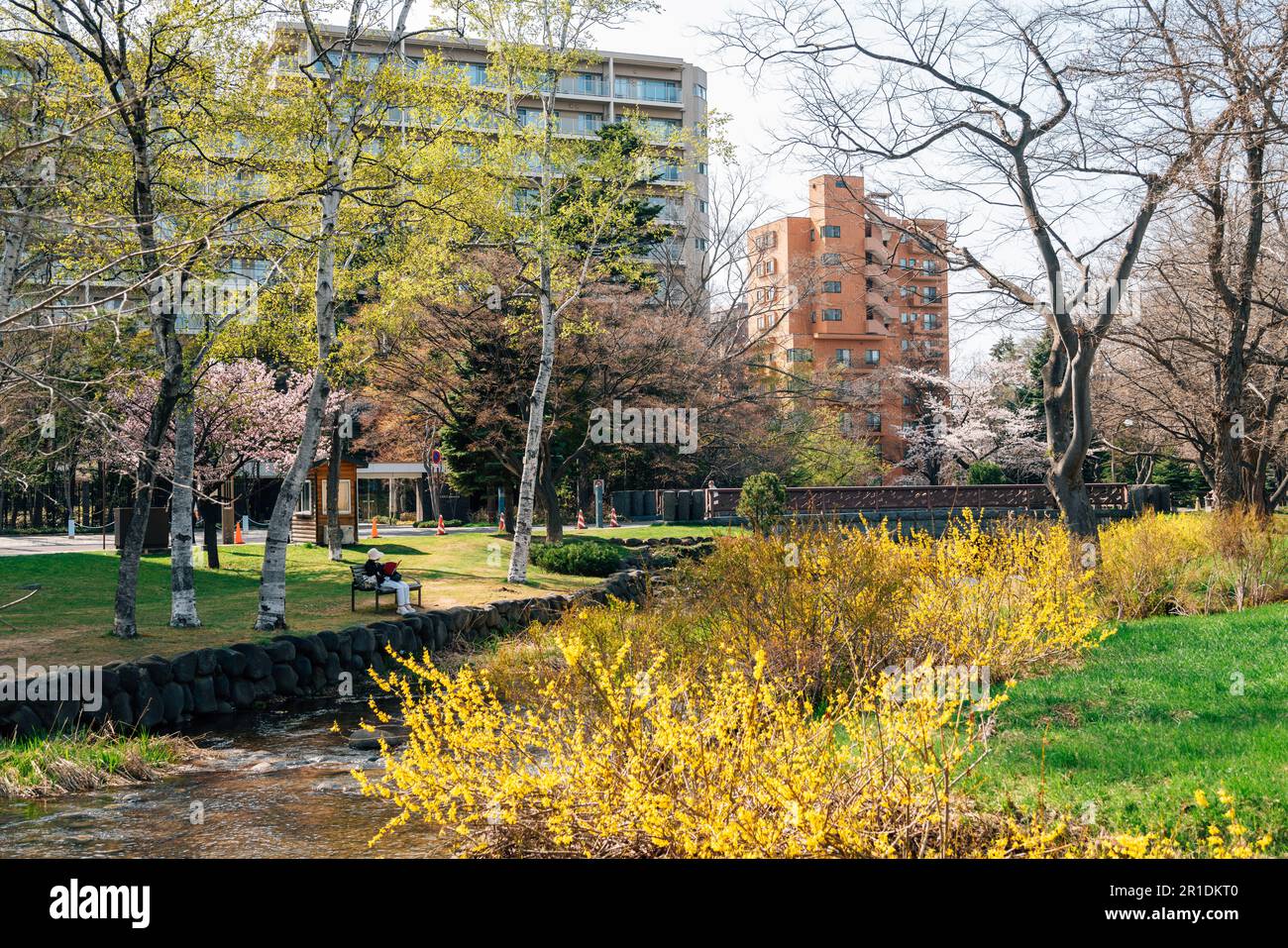 Primavera del parco Nakajima a Sapporo, Hokkaido, Giappone Foto Stock