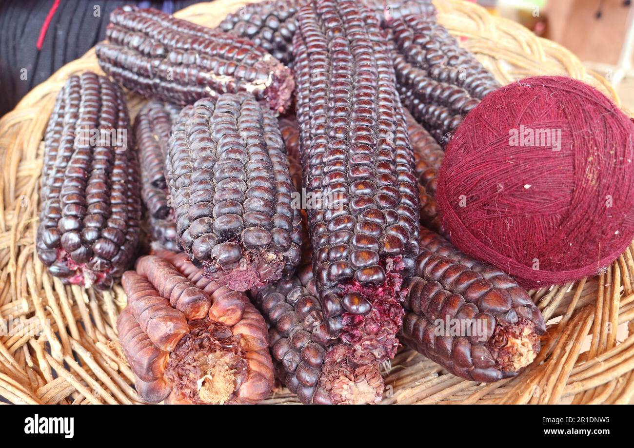Borgogna profondo Purple peruviano Alpaca Wool Palle tinte da Corn viola, Chinchero Village, Ande, Cuzco Regione, Perù, Sud America Foto Stock